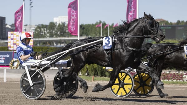 Foto: LENA EMMOTH / TR BILD