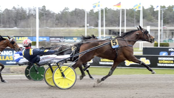 Foto: LARS JAKOBSSON / TR BILD