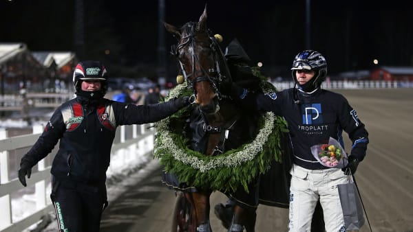 Foto: MATILDA ÖHRMAN / TR BILD