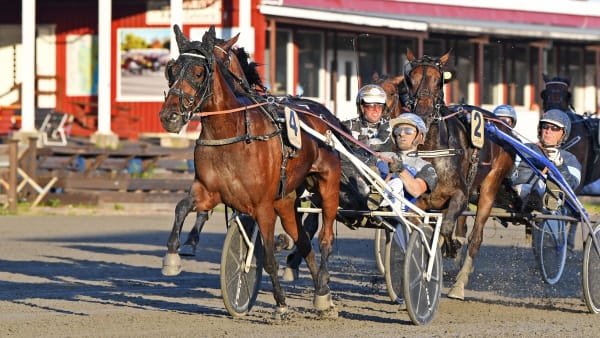 Foto: MALIN ALBINSSON / TR BILD