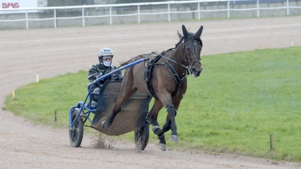 Foto: LARS JAKOBSSON / TR BILD