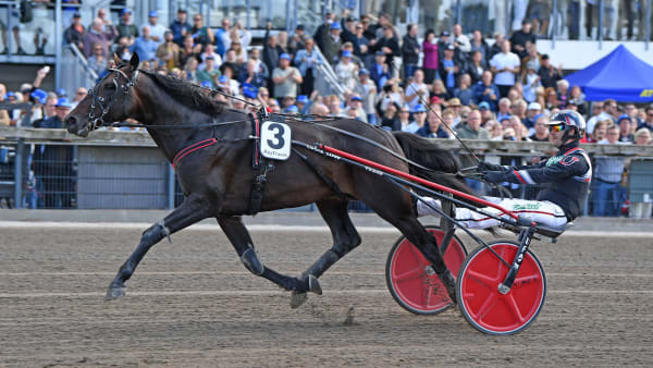 Foto: MALIN ALBINSSON / TR BILD