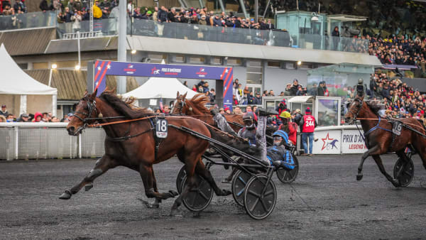 Foto: BRUNO VANDEVELDE/LE TROT