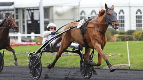 Foto: MIA TÖRNBERG, TRAVRONDEN