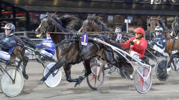 Foto: LARS JAKOBSSON / TR BILD