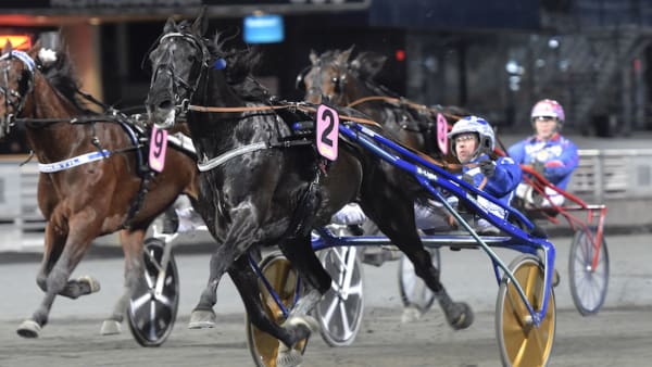 Foto: Lars Jakobsson/TR Bild