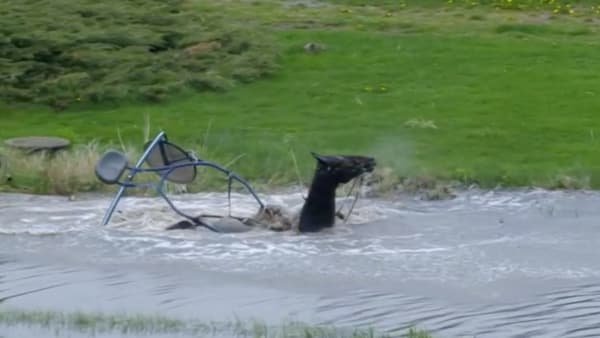 Foto: Skärmdump ATG.se.