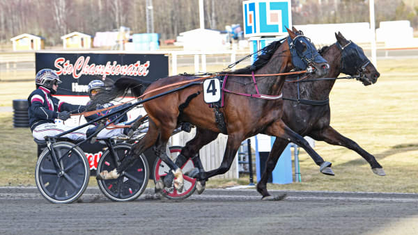 Foto: MALIN ALBINSSON / TR BILD