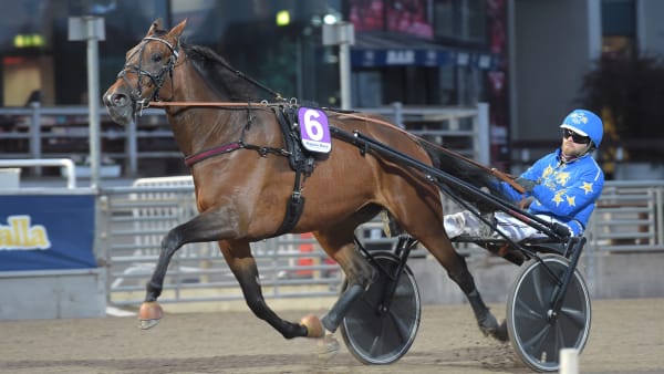 Foto: LARS JAKOBSSON / TR BILD