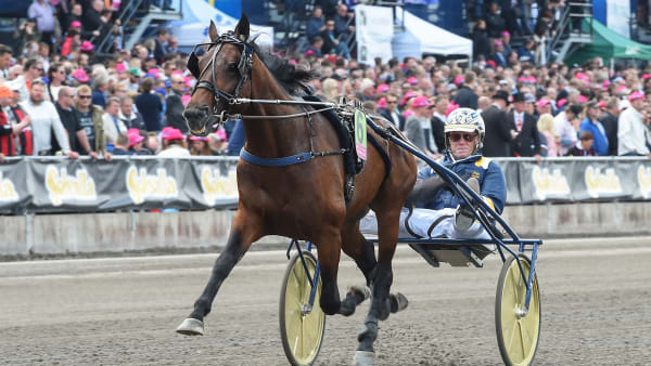 Foto: LARS JAKOBSSON/TR BILD