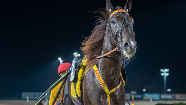 Foto: MIKAEL ROSENQUIST / TR BILD