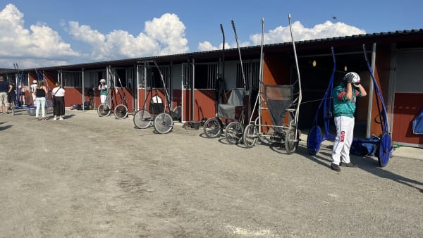 Foto: JOSEFIN JOHANSSON/ TR BILD