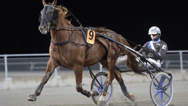 Foto: LARS JAKOBSSON / TR BILD