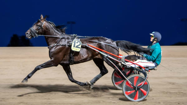 Foto: MIKAEL ROSENQUIST / TR BILD