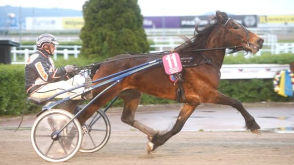 Foto: MICKE GUSTAFSSON/ALN