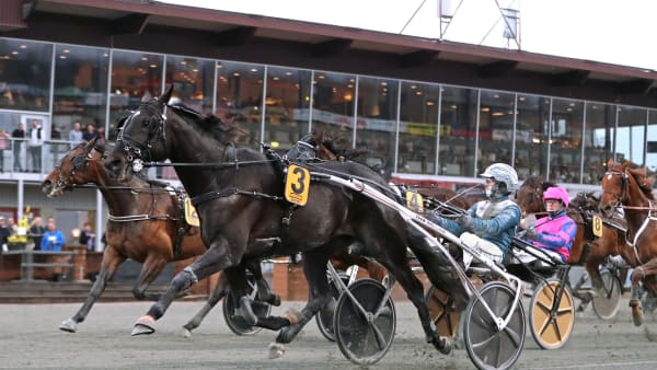 Foto: MARIA HOLMÉN / TR BILD