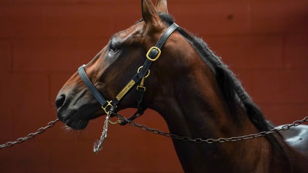 Foto: THOMAS BLOMQVIST / TR BILD