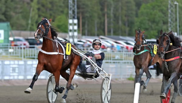 Foto: MARIA HOLMÉN / TR BILD