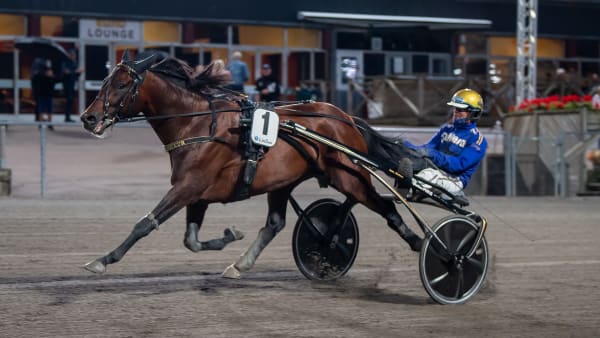 Foto: MIKAEL ROSENQUIST / TR BILD