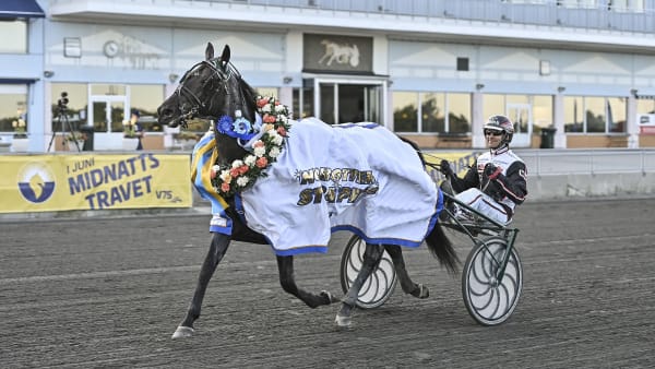 Foto: JENNY REHNMAN / TR BILD