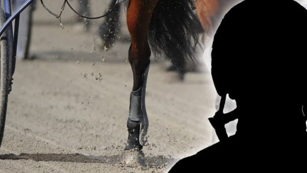 Foto: Montage, Patrik Nord