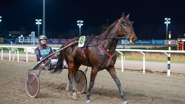 Foto: MIKAEL ROSENQUIST / TR BILD