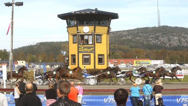 Foto: MICKE GUSTAFSSON / TR BILD