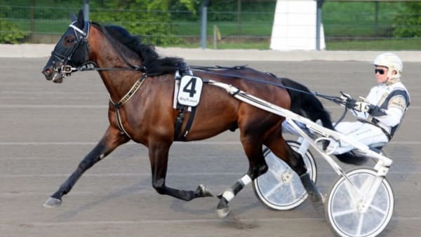 Foto: ANNA PERSSON/TRAVRONDEN