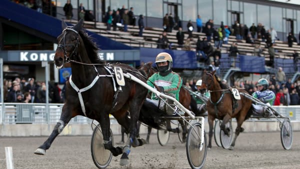 Foto: MARIA HOLMÉN / TR BILD