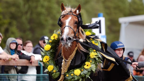 Foto: Kuvaaja Maisa Hyttinen/Suomen Hippos