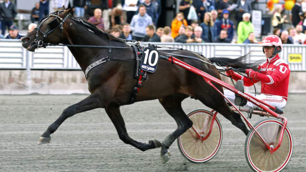 Foto: MARIA HOLMÈN/TR BILD