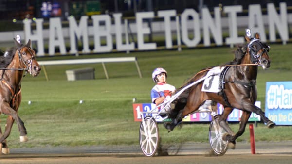 Foto: STEFAN MELANDER/STALLTZ.SE