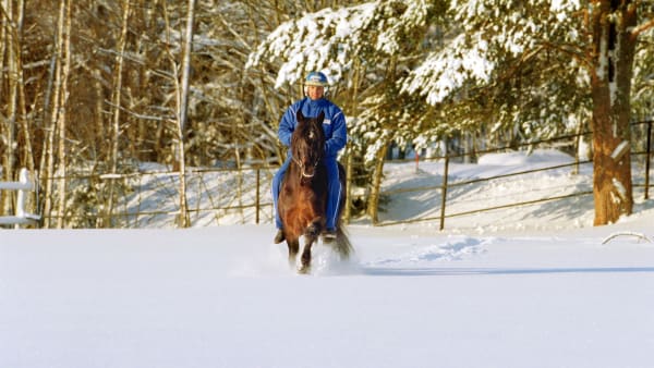 Foto: THOMAS BLOMQVIST / TR BILD