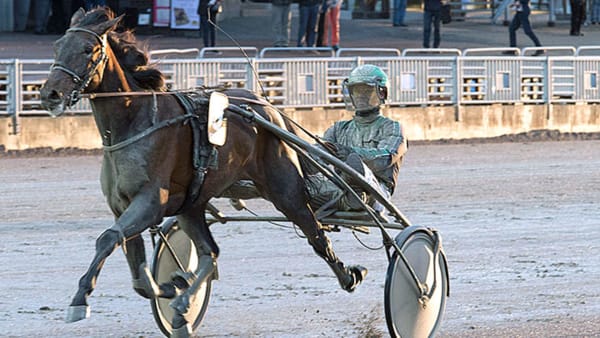 Foto: TOMMY ANDERSSON/ALN