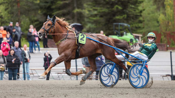 Foto: MAISA HYTTINEN/SUOMEN HIPPOS