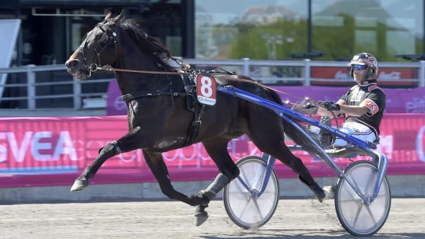 Foto: LARS JAKOBSSON / TR BILD