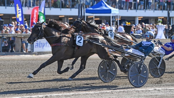 Foto: MALIN ALBINSSON / TR BILD