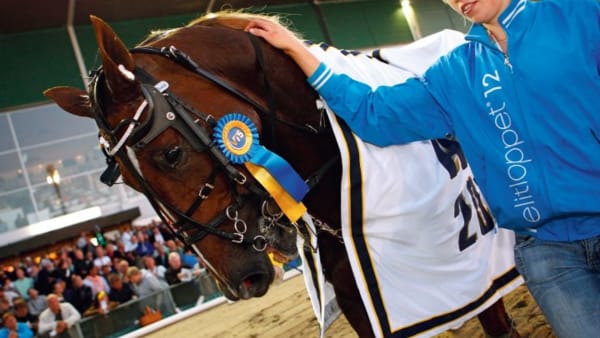 Foto: MARIA HOLMÉN/TRAVRONDEN