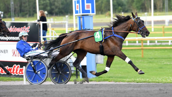 Foto: MALIN ALBINSSON / TR BILD