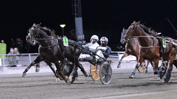 Foto: LARS JAKOBSSON / TR BILD