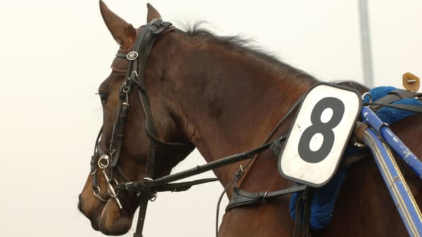 Foto: Lars Jakobsson/TR Bild