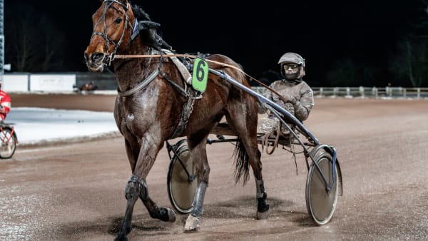 Foto: LENA EMMOTH / TR BILD