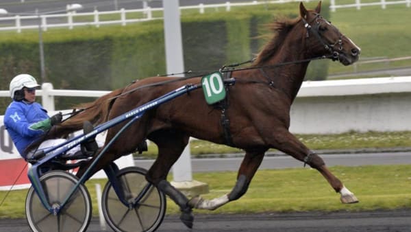 Foto: STEFAN MELANDER/stalltz.se