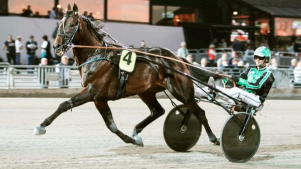 Foto: JEANNIE KARLSSON/TRAVRONDEN