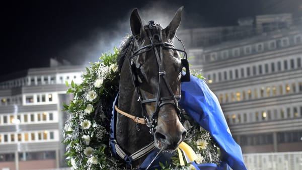 Foto: Lars Jakobsson/TR Bild