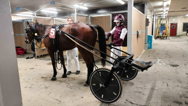 Foto: LUCAS ERICSSON/TR BILD