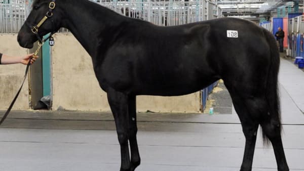 Foto: Stefan Melander/stalltz.se