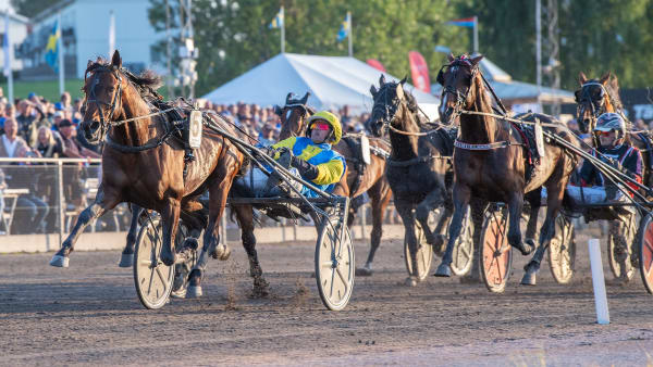 Foto: MIKAEL ROSENQUIST / TR BILD