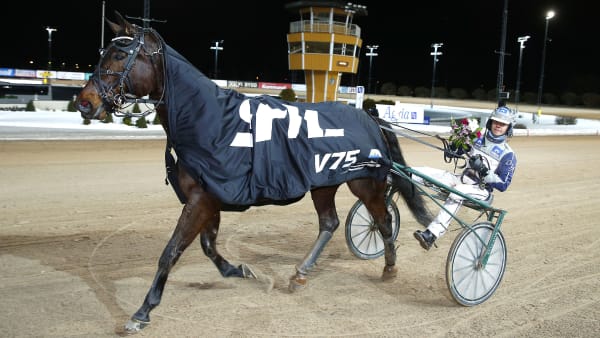 Foto: MICKE GUSTAFSSON/ALN