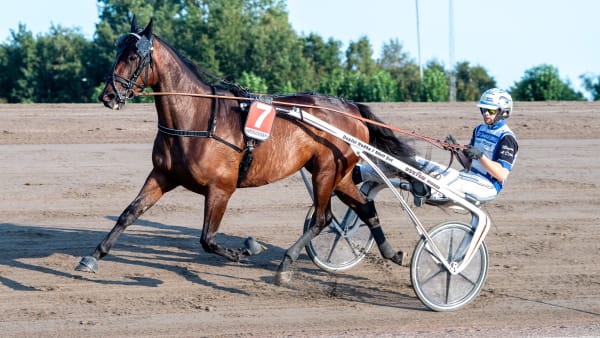 Foto: MIKAEL ROSENQUIST / TR BILD